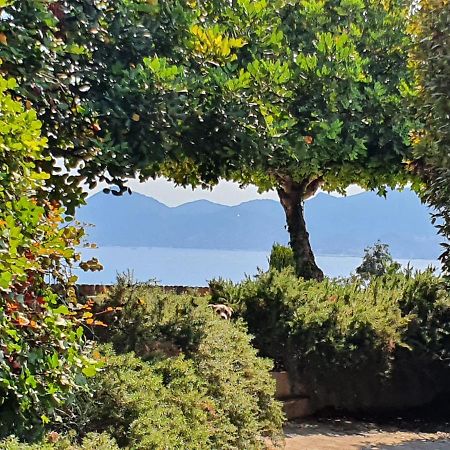 Haus Mit Garten Ueber Der Bucht Von Cannes Vallauris Exteriör bild