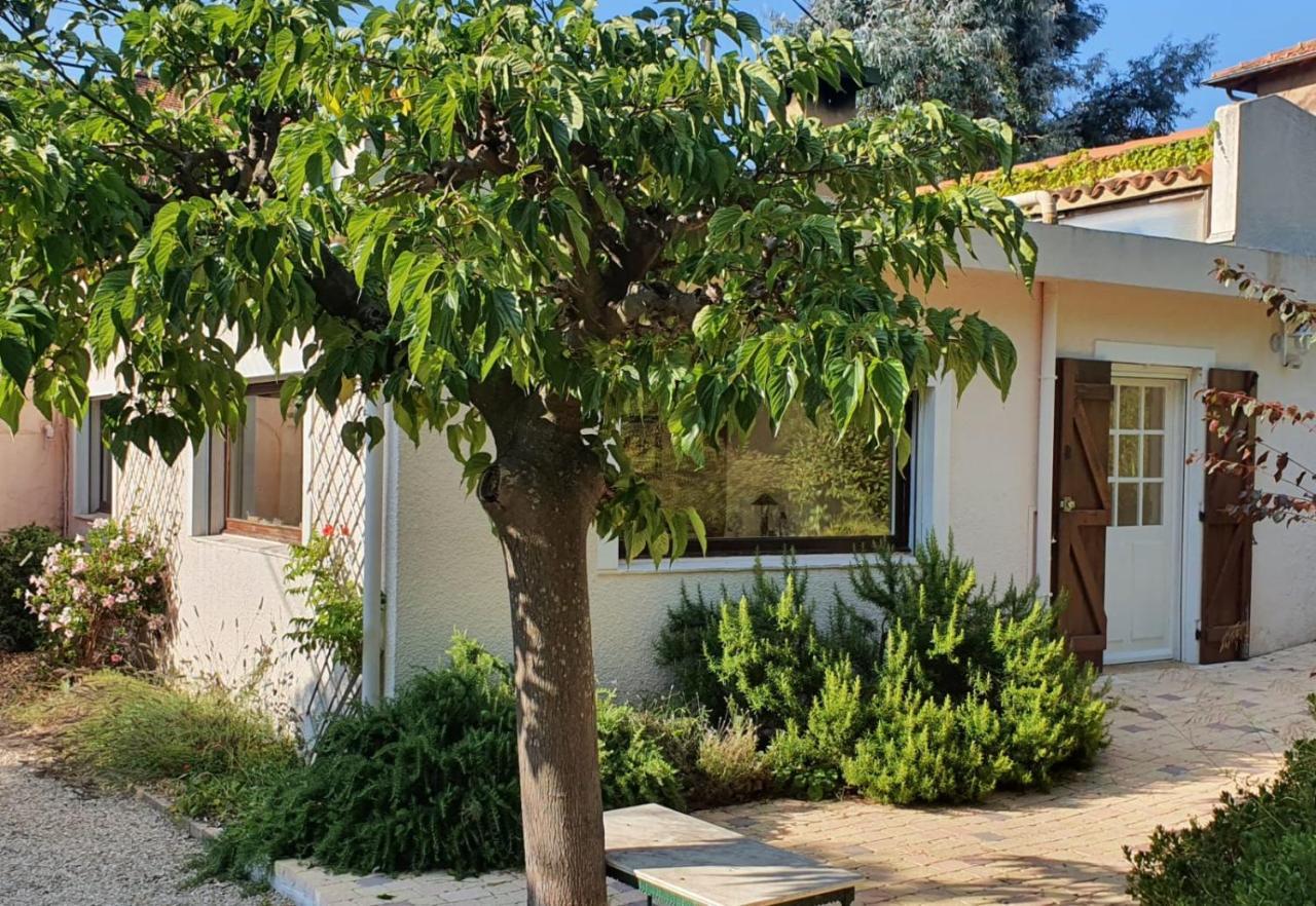 Haus Mit Garten Ueber Der Bucht Von Cannes Vallauris Exteriör bild