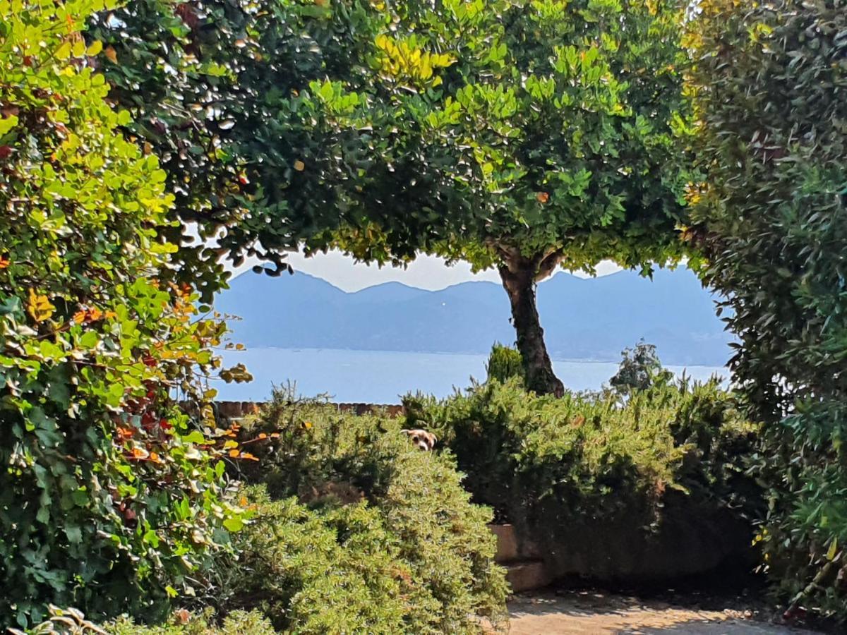 Haus Mit Garten Ueber Der Bucht Von Cannes Vallauris Exteriör bild